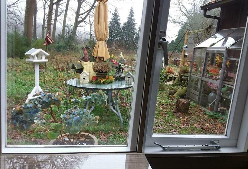 اتاق استاندارد, Regina Vught