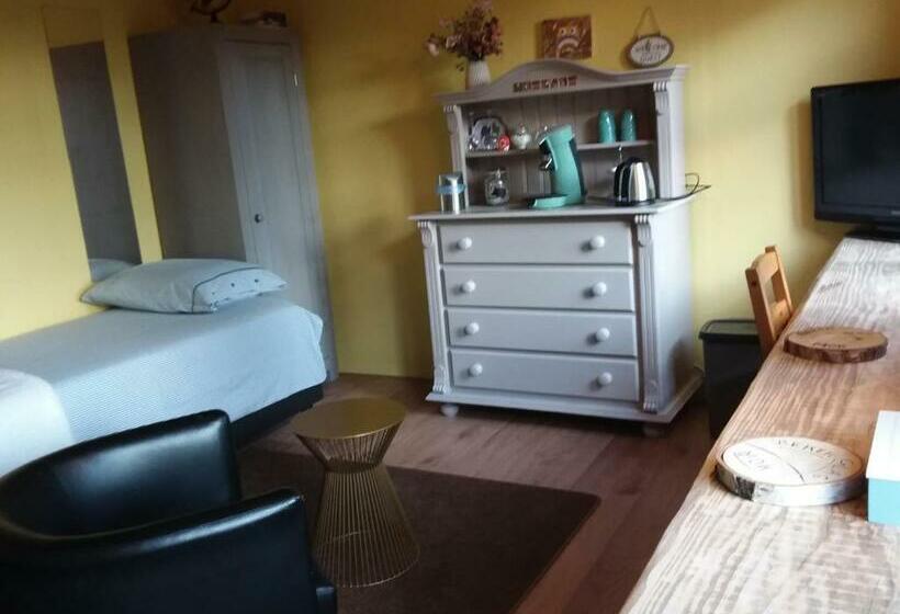 اتاق استاندارد, Regina Vught