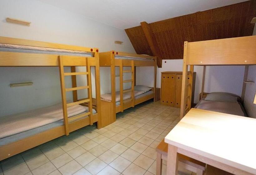 اتاق استاندارد با سرویس بهداشتی مشترک, Delémont Youth Hostel