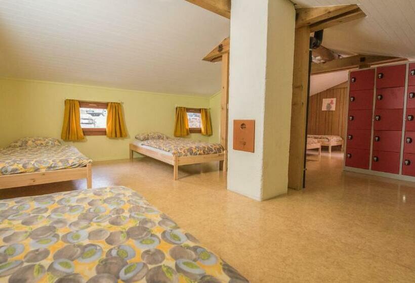 Кровать в Общей Комнате, Schutzenbach Backpackers For Adults 18 35