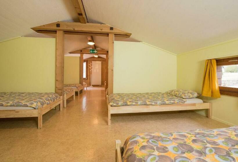 Кровать в Общей Комнате, Schutzenbach Backpackers For Adults 18 35