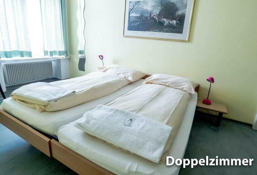 اتاق استاندارد با سرویس بهداشتی مشترک, & Backpackers Zak Schaffhausen