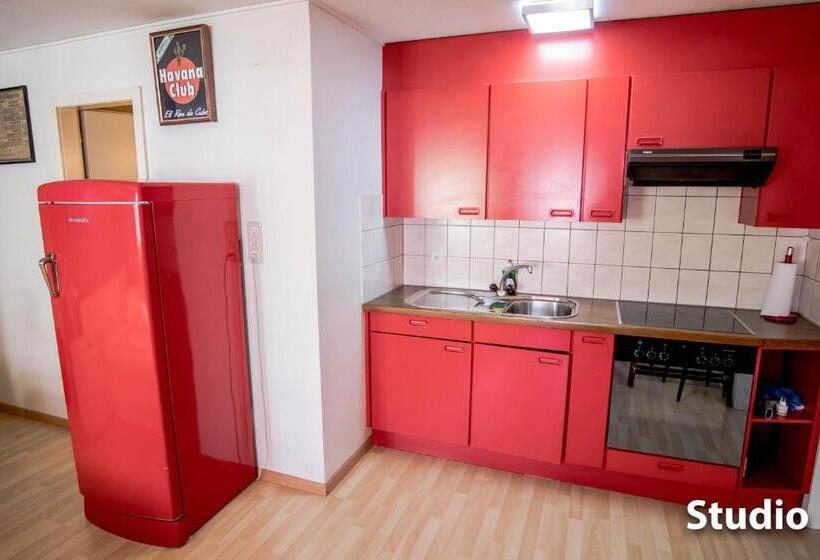 استودیوی استاندارد, & Backpackers Zak Schaffhausen