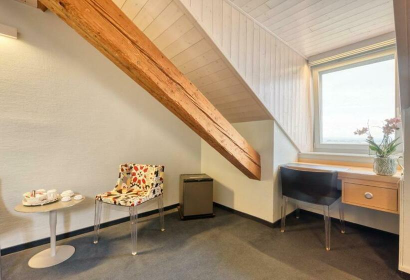 Номер Стандарт, Hôtel Le Funi De Cossonay