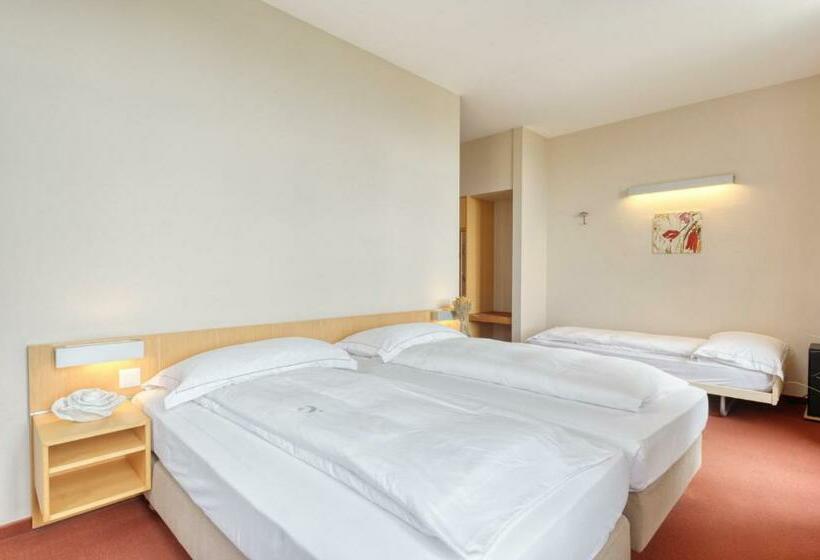 Номер Стандарт, Hôtel Le Funi De Cossonay