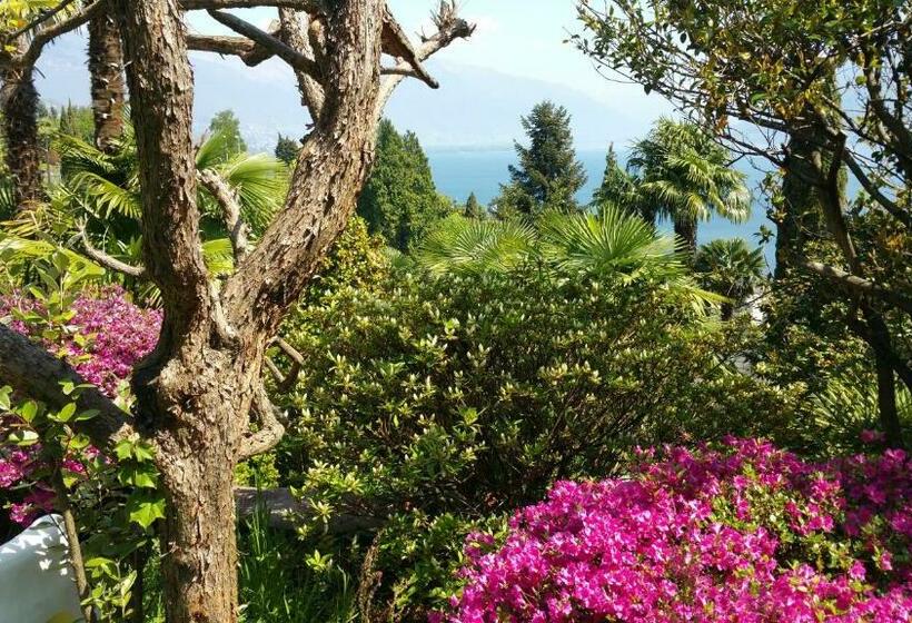标准三人间, Residence Venus Garden