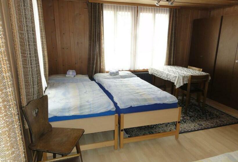اتاق استاندارد با سرویس بهداشتی مشترک, Restaurant Stechelberg Bed & Breakfast
