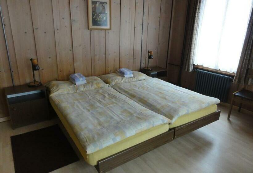 اتاق استاندارد با سرویس بهداشتی مشترک, Restaurant Stechelberg Bed & Breakfast