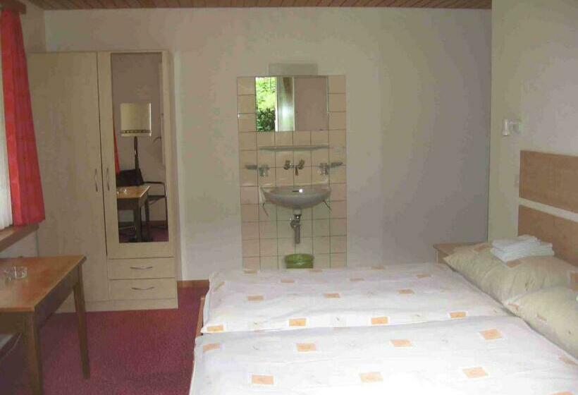 اتاق استاندارد با سرویس بهداشتی مشترک, Restaurant Stechelberg Bed & Breakfast