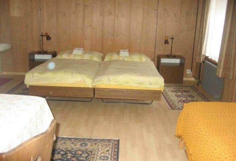 اتاق استاندارد با سرویس بهداشتی مشترک, Restaurant Stechelberg Bed & Breakfast
