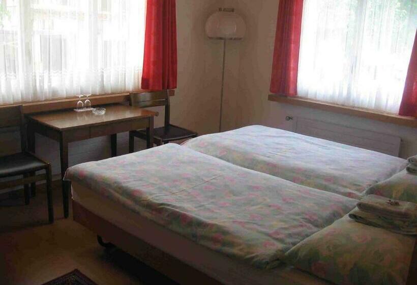 اتاق استاندارد با سرویس بهداشتی مشترک, Restaurant Stechelberg Bed & Breakfast
