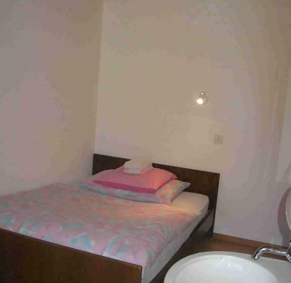 اتاق استاندارد یک تخته با سرویس بهداشتی مشترک, Restaurant Stechelberg Bed & Breakfast