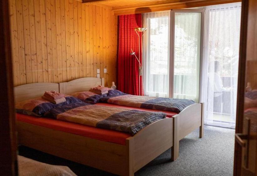 آپارتمان 1 خوابه, Restaurant Stechelberg Bed & Breakfast