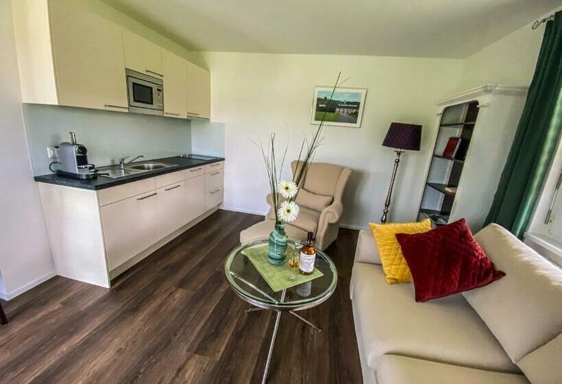 آپارتمان سوپریور 1 خوابه, Trompeterschlössle Hotel & Residence
