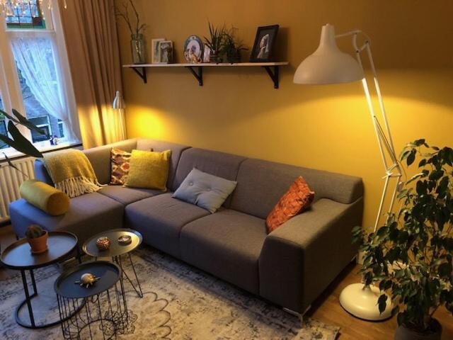 آپارتمان 1 خوابه, Juuls B&b