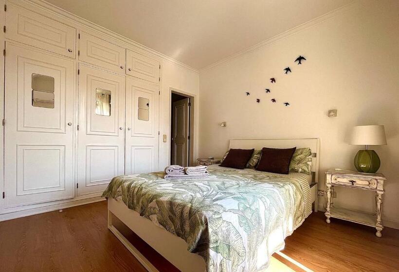 اتاق استاندارد, Ljmonade Hostel