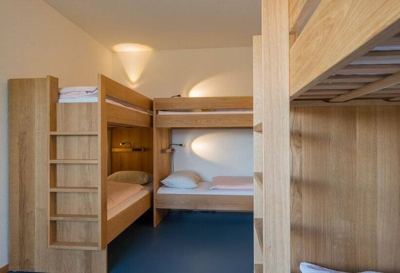 Bed in Shared Room with Shared Bathroom, Zug Youth Hostel