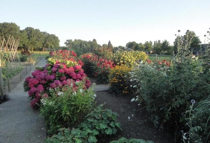 اتاق لوکس, B&b De Willemshoeve