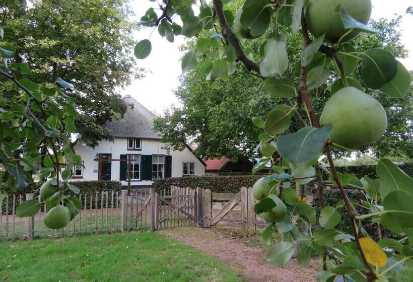 اتاق اکونومی, B&b De Willemshoeve