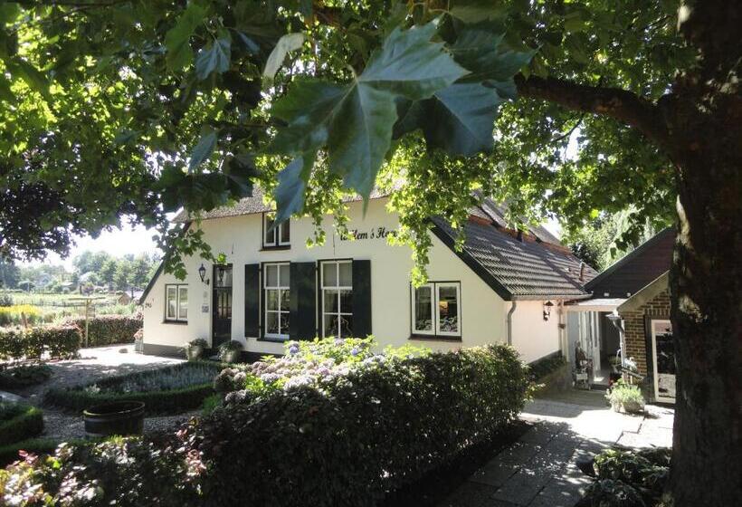 اتاق اکونومی, B&b De Willemshoeve