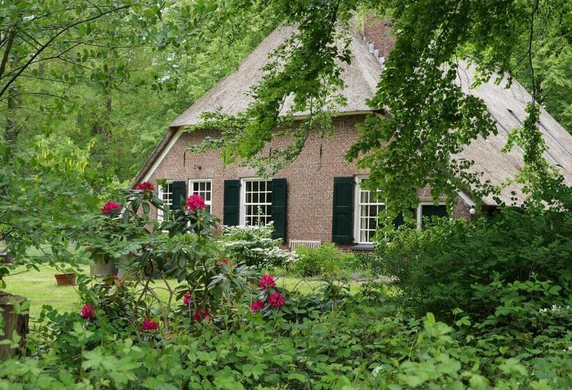 اتاق استاندارد, Landgoedhoeve Vosbergen