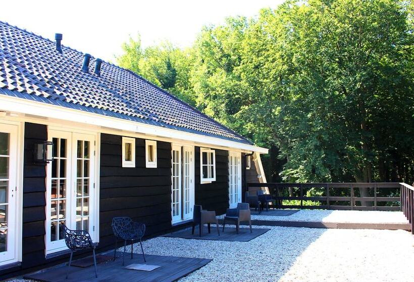 سوییت جونیور, Zoomers Aan Het Bos