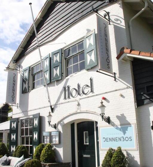 اتاق سوپریور, Strandhotel Dennenbos