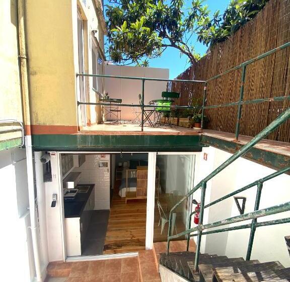 استودیوی استاندارد, Terrace House