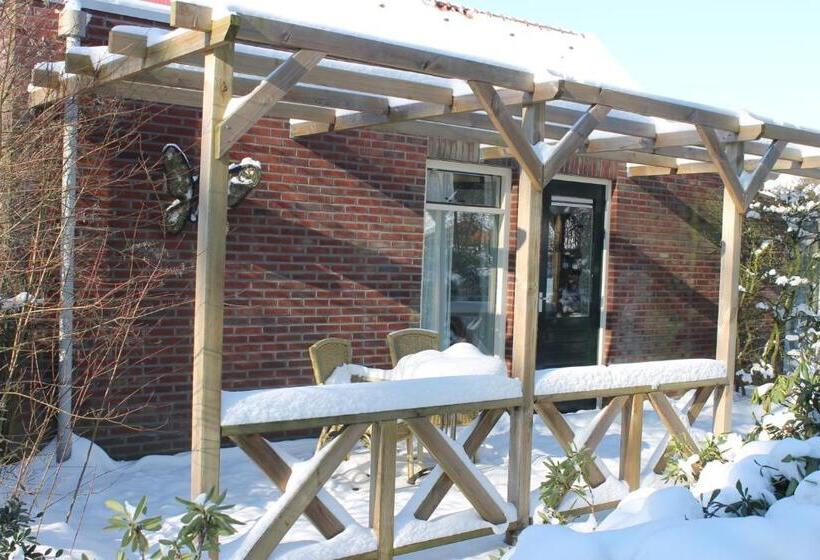 اتاق لوکس, Boutique Hotel Nieuw Beusink