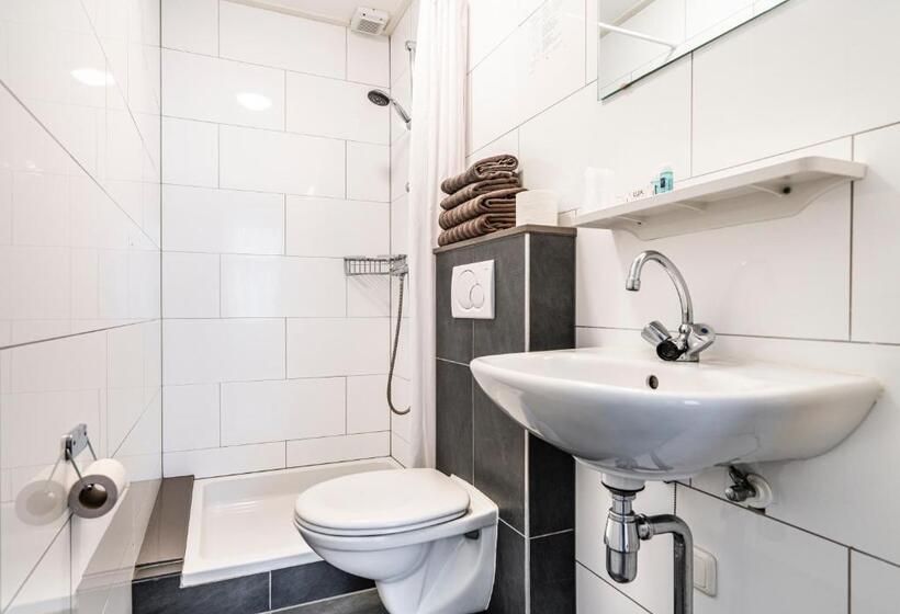 Номер Стандарт с Террасой, Duinhotel Haga