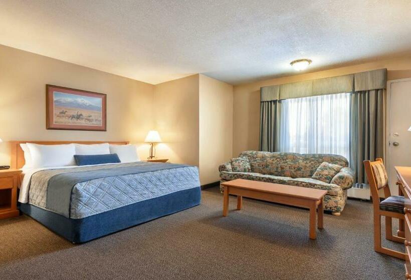 اتاق استاندارد با تخت بزرگ, Travelodge By Wyndham Edson