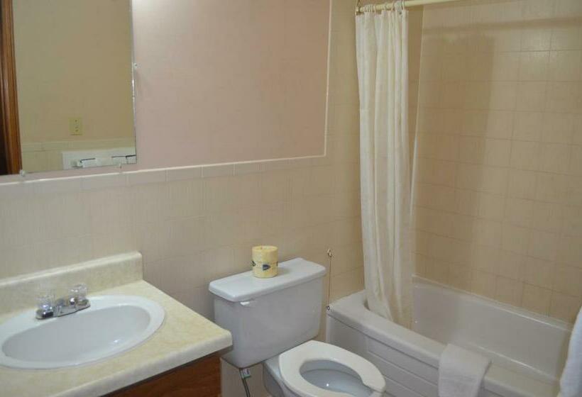 اتاق استاندارد با تخت بزرگ, Mohawk Motel