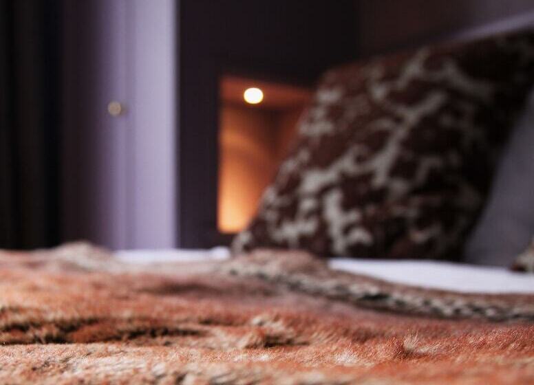 اتاق لوکس, Suitehotel Posthoorn