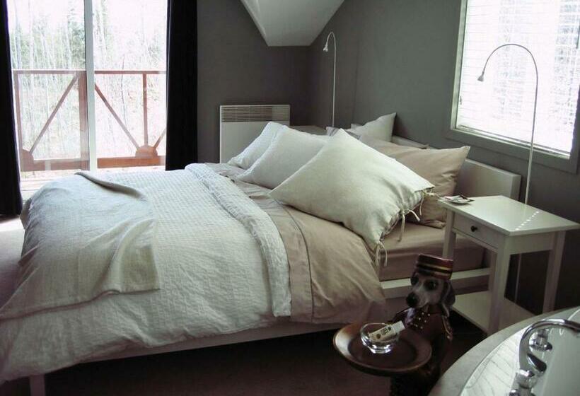 اتاق استاندارد با وان آب گرم, Auberge Des Eaux Vives
