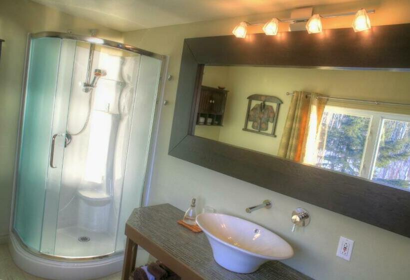 اتاق استاندارد با تخت بزرگ, Auberge Des Eaux Vives