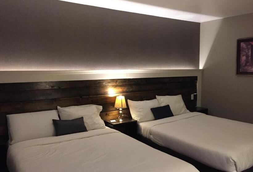 اتاق استاندارد, Greenside Motel