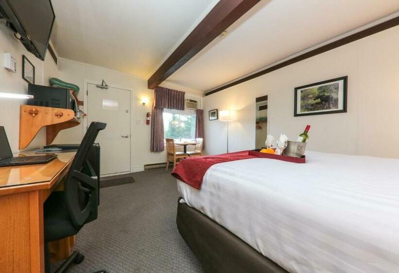 اتاق استاندارد با تخت بزرگ, Lakeview Motel