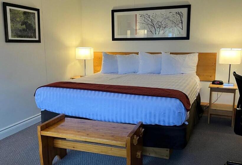اتاق استاندارد با تخت بزرگ, Lakeview Motel
