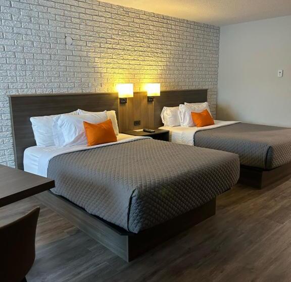 اتاق لوکس, Complexe Dix80