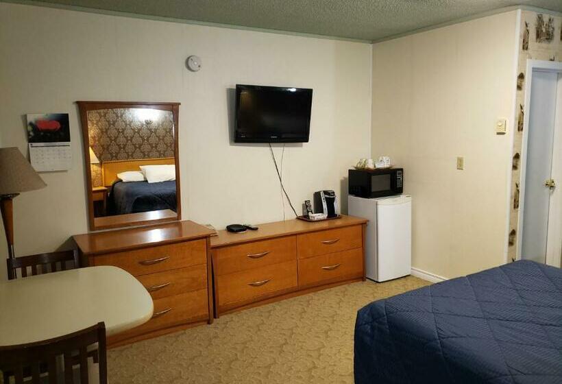 اتاق استاندارد یک نفره, Neepawa Motel