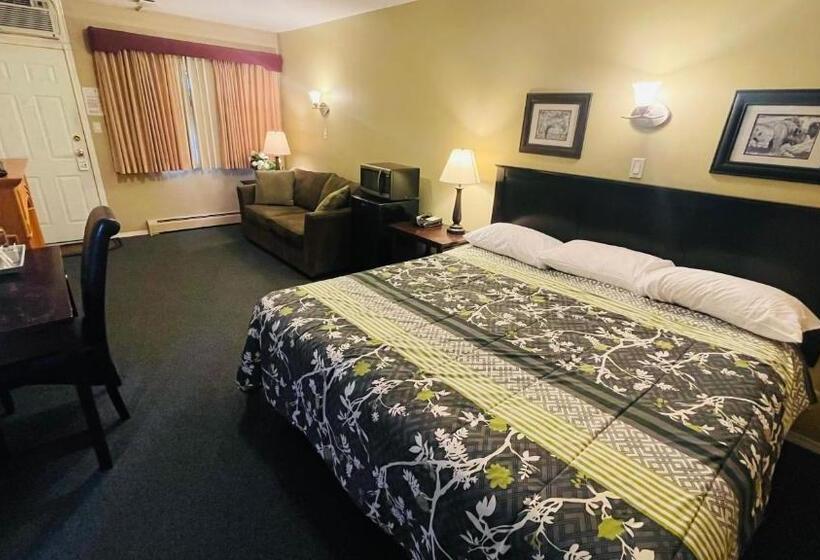 اتاق استاندارد با تخت بزرگ, Travellers Motel