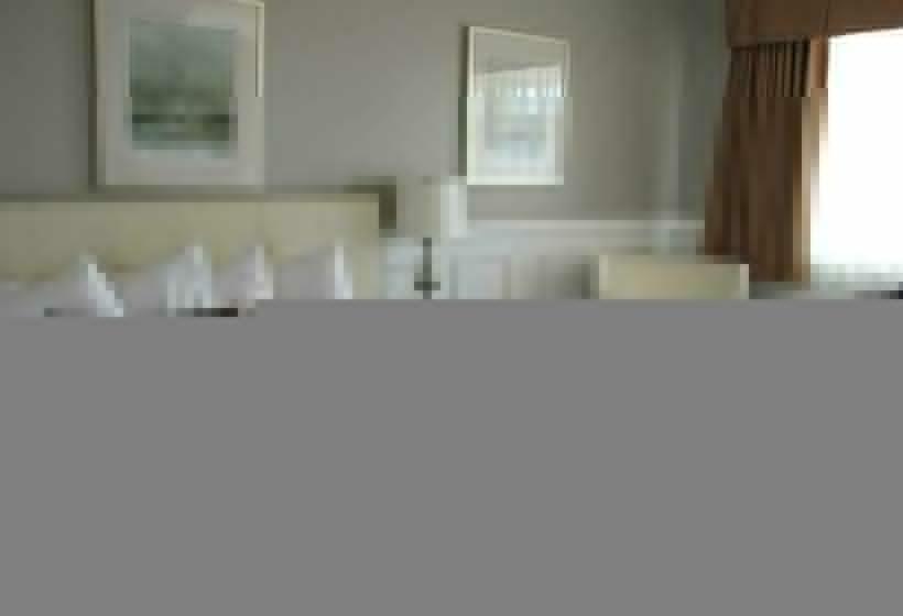 اتاق لوکس, Willow Bend Motel