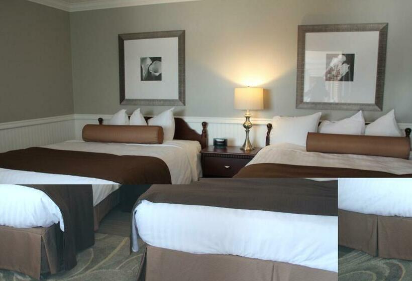 اتاق لوکس, Willow Bend Motel