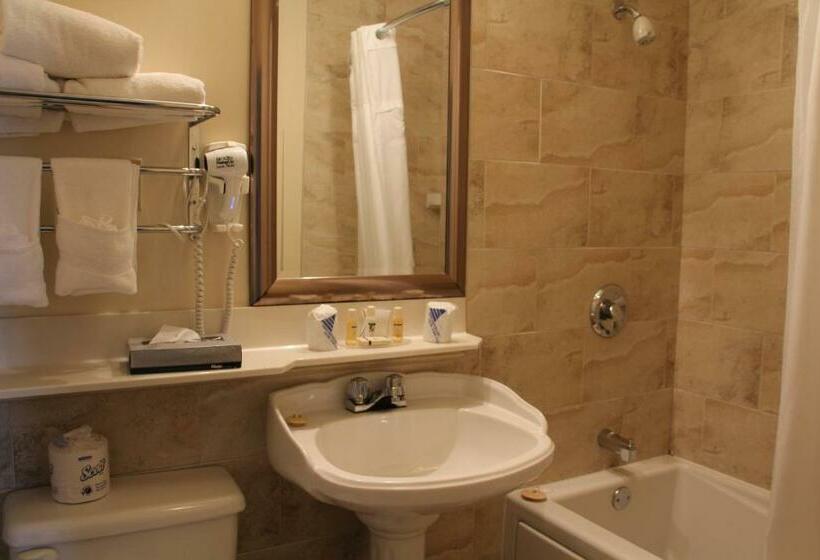 اتاق استاندارد با 2 تخت دوبل, Willow Bend Motel