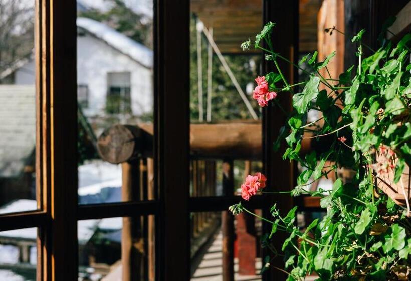 اتاق لوکس, Hakuba Pension & Log Hotel Meteor