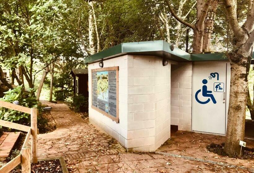 تختخواب در اتاق مشترک, Hostel Albergue Paradiso