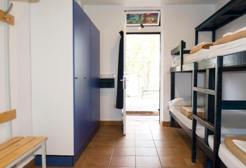 اتاق استاندارد چهار تخته, Hostel Albergue Paradiso