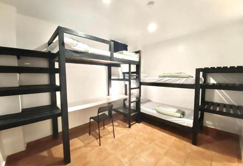 اتاق استاندارد چهار تخته, Hostel Albergue Paradiso