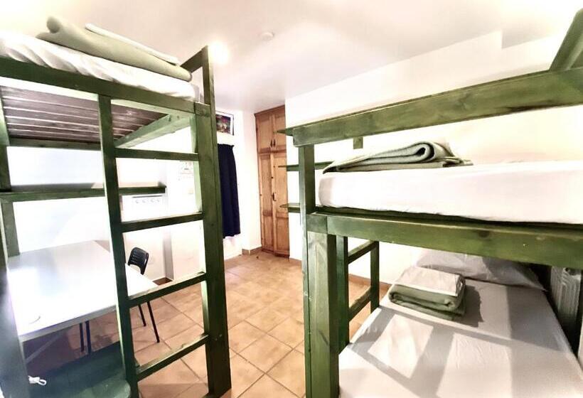 اتاق استاندارد چهار تخته, Hostel Albergue Paradiso