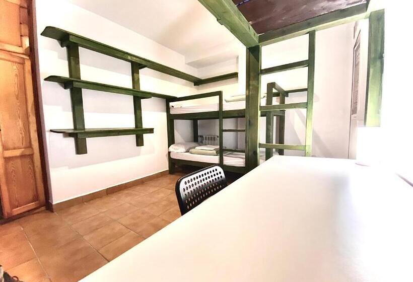 اتاق استاندارد چهار تخته, Hostel Albergue Paradiso